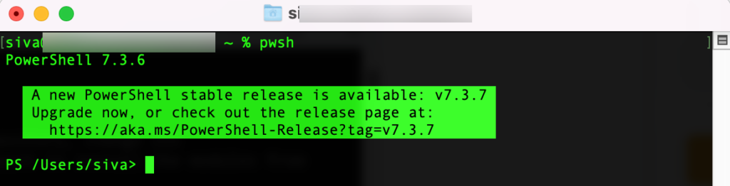 Terminal with the PowerShell 7